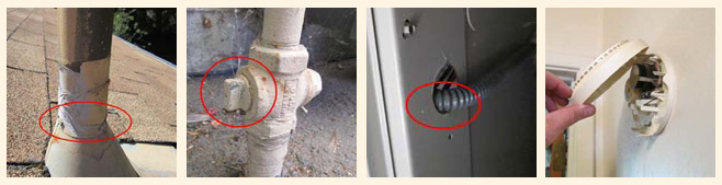 Sample Report Images